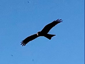 DAY 22 BITTER SPRINGS MATARANKA&nbsp;NT